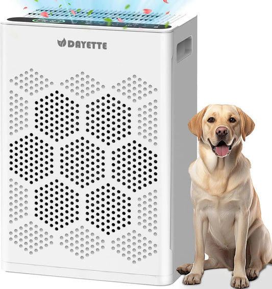 Purificatore d'aria CADR 300 H14, 300 m³/h, 22 dB, filtro HEPA con prefiltro lavabile contro polvere, modalità notte <22 dB