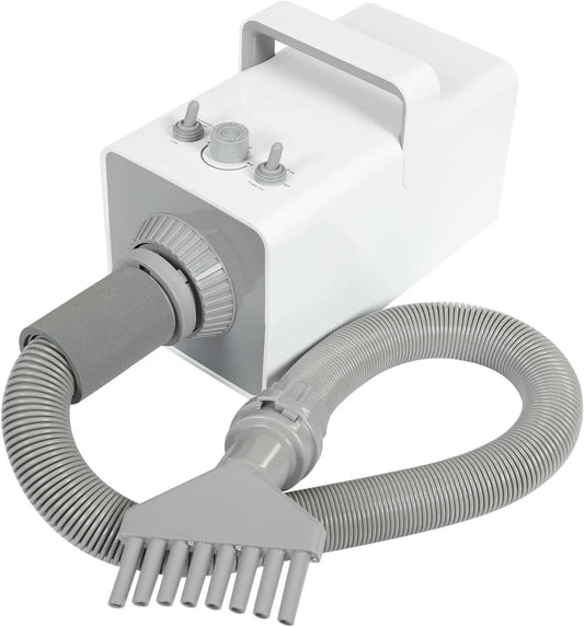 Asciugatrice, 2800 W, professionale, 2 zone di temperatura, asciugacapelli professionale con 4 diversi ugelli